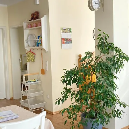 Alte Heimat Apartmán