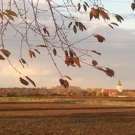 Alte Heimat Schwegenheim