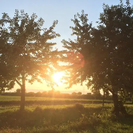 Apartamento Alte Heimat *