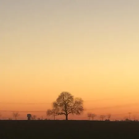 Alte Heimat Lägenhet Schwegenheim