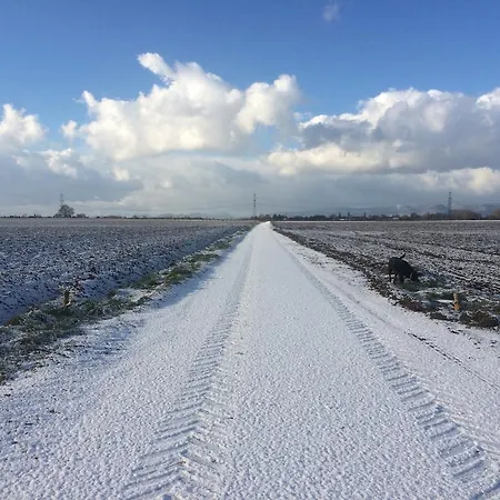 Alte Heimat * Schwegenheim