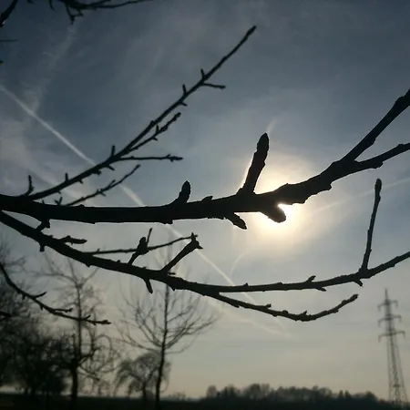 Alte Heimat Schwegenheim