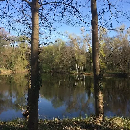 Alte Heimat Apartmán Schwegenheim