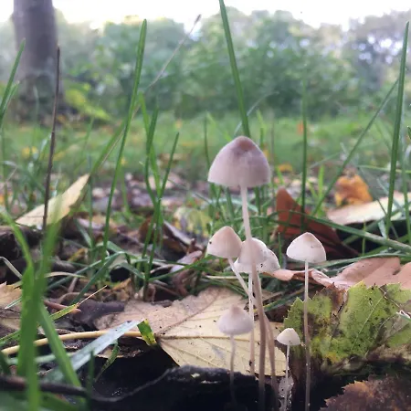 Apartamento Alte Heimat