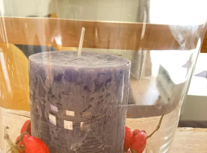 阿尔特黑曼特公寓 Schwegenheim