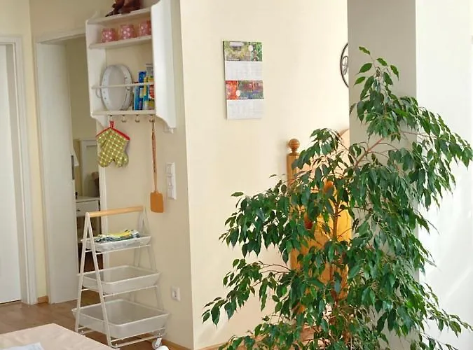 Alte Heimat דירה