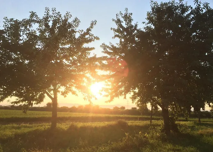 Apartamento Alte Heimat *